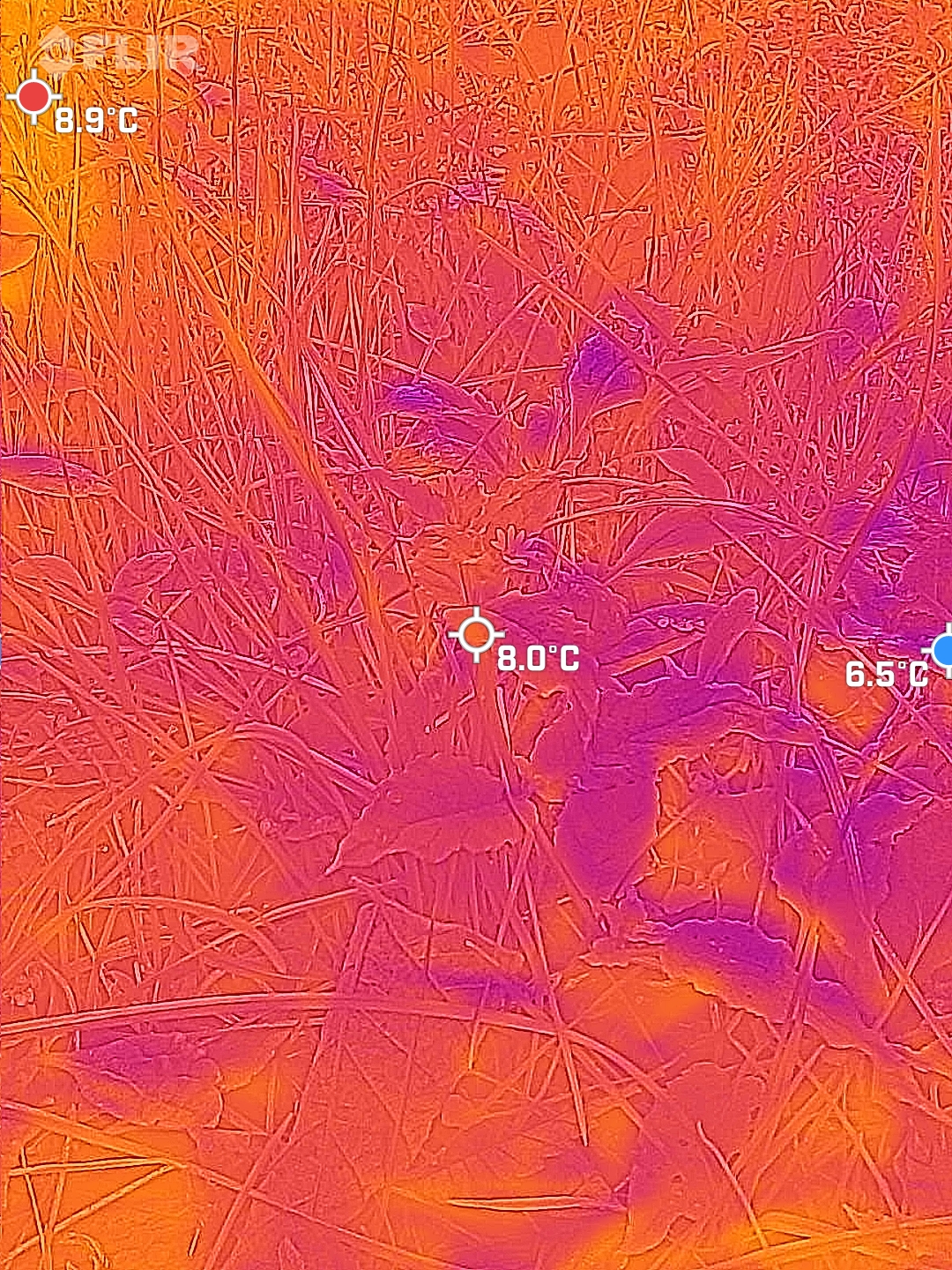 35.363010, 139.582690